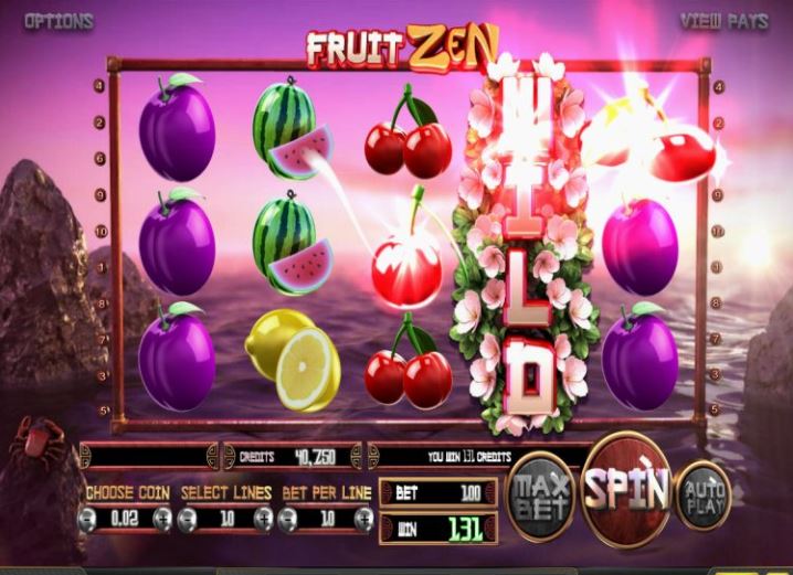 Betsoft et Blitz présentent Fruit Zen